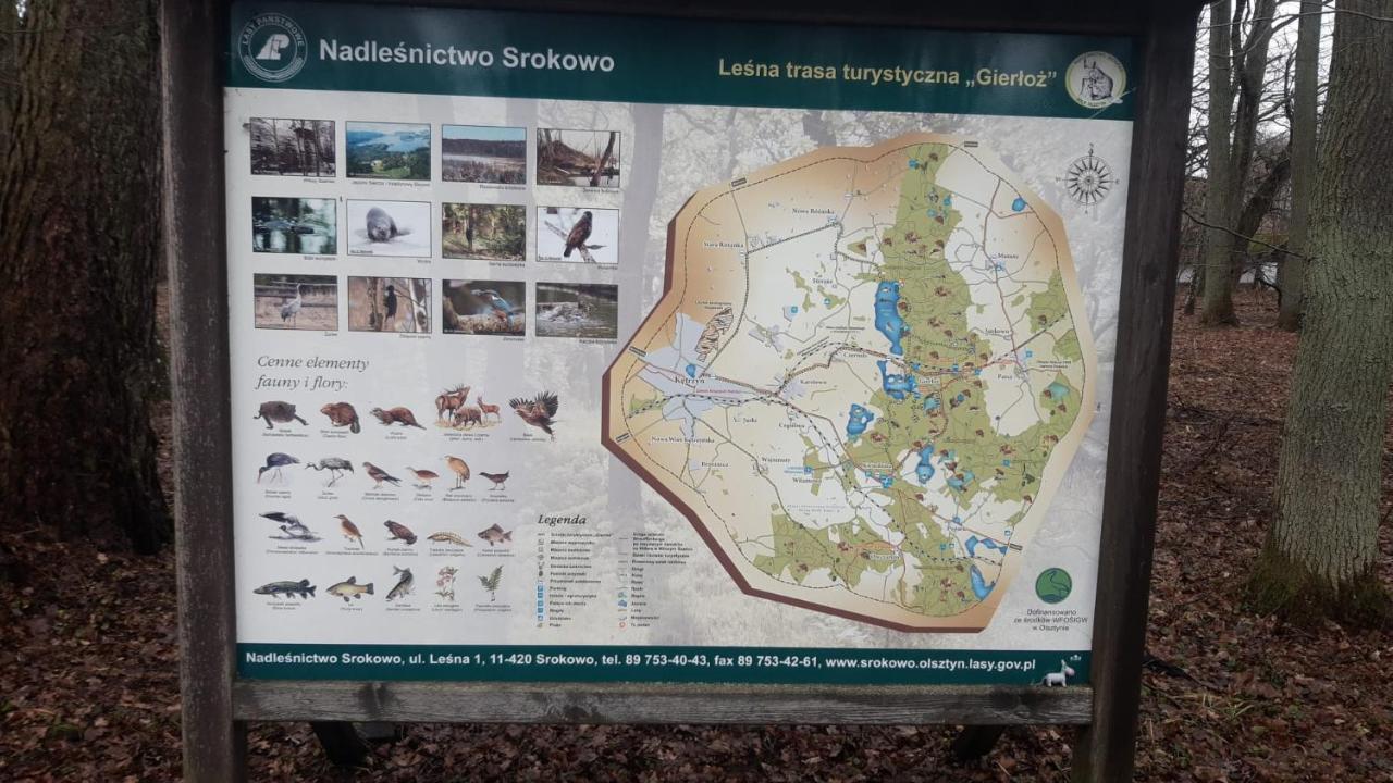 Zacisze Pod Brzozami Villa Kętrzyn Eksteriør bilde