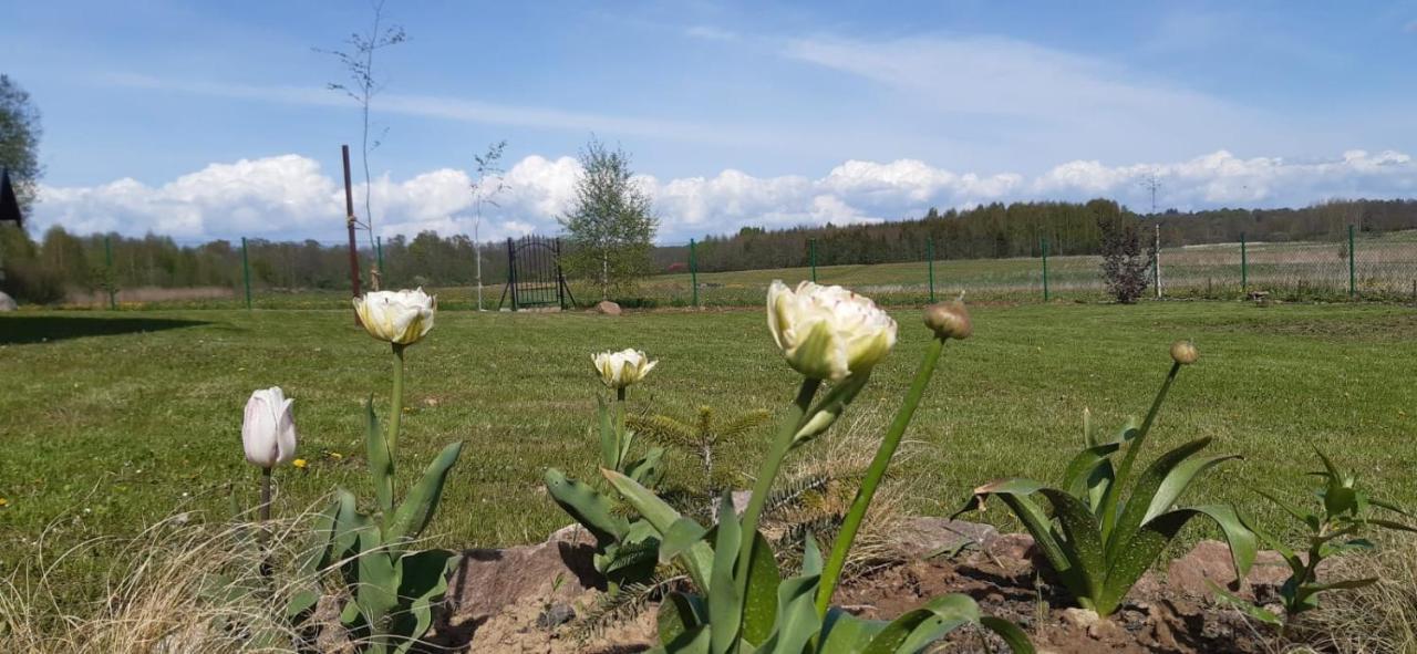 Zacisze Pod Brzozami Villa Kętrzyn Eksteriør bilde