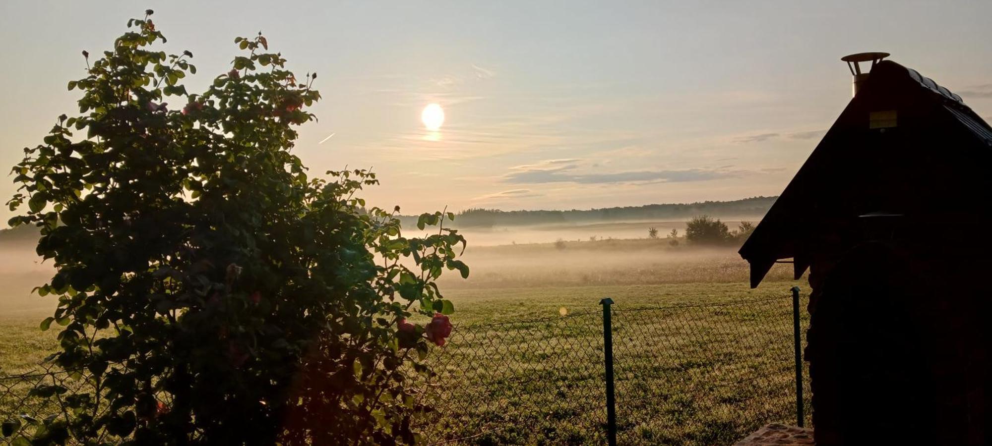 Zacisze Pod Brzozami Villa Kętrzyn Eksteriør bilde